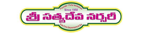 Sri Satyadeva Logo