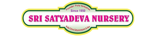 Sri Satyadeva Logo