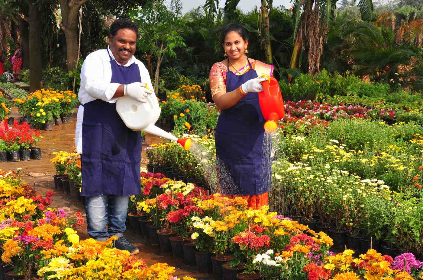 Plant Variety