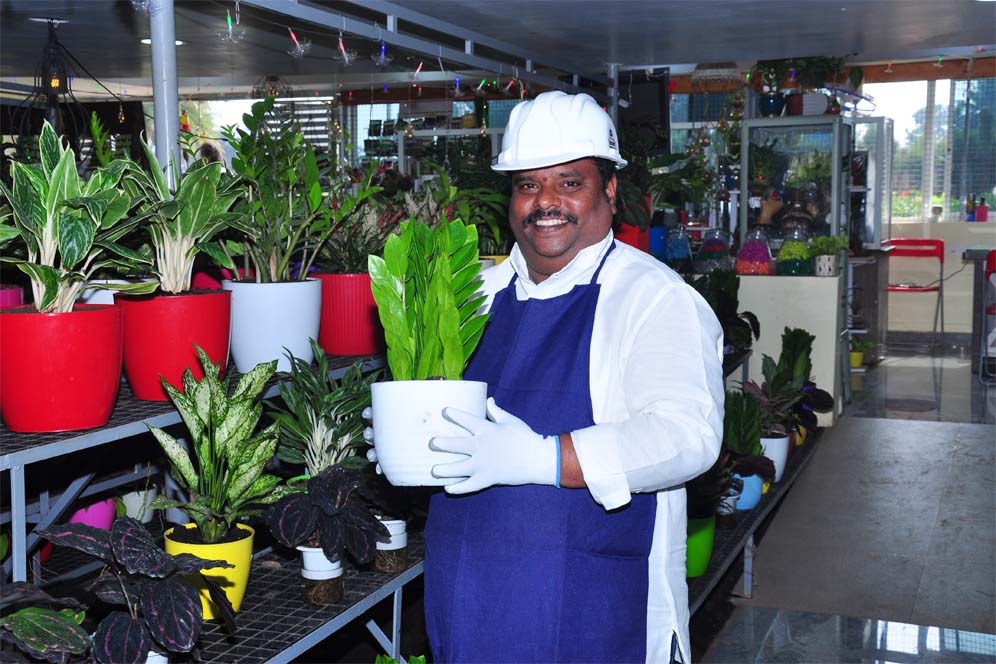 Plant Variety